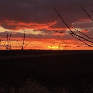 Meet your Posher, Tamara